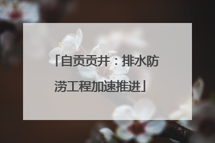 自贡贡井：排水防涝工程加速推进