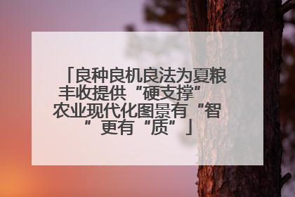 良种良机良法为夏粮丰收提供“硬支撑” 农业现代化图景有“智”更有“质”