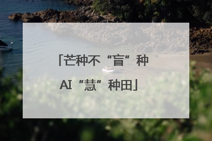 芒种不“盲”种 AI“慧”种田