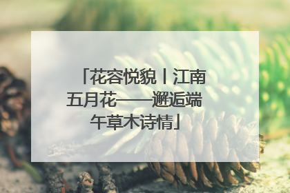 花容悦貌丨江南五月花——邂逅端午草木诗情