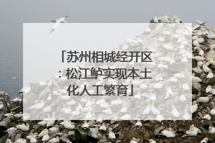 苏州相城经开区：松江鲈实现本土化人工繁育