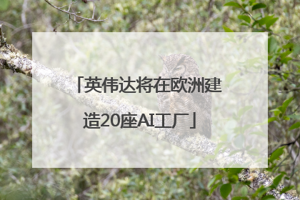 英伟达将在欧洲建造20座AI工厂