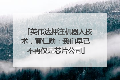 英伟达押注机器人技术，黄仁勋：我们早已不再仅是芯片公司