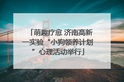 萌趣疗愈 济南高新一实验“小狗领养计划”心理活动举行