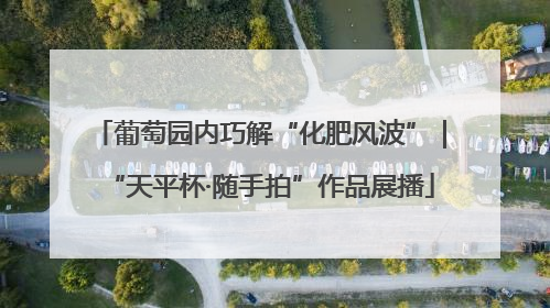 葡萄园内巧解“化肥风波”｜“天平杯·随手拍”作品展播