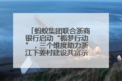 蚂蚁集团联合浙商银行启动“栀梦行动”，三个维度助力浙江下姜村建设共富示范区示范点