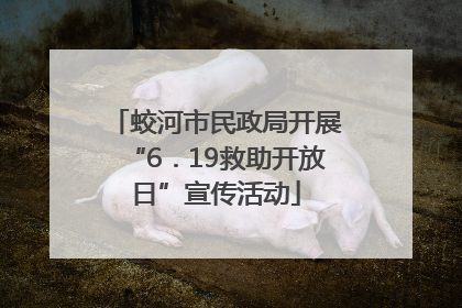 蛟河市民政局开展“6．19救助开放日”宣传活动