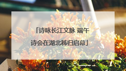 诗咏长江文脉 端午诗会在湖北秭归启幕
