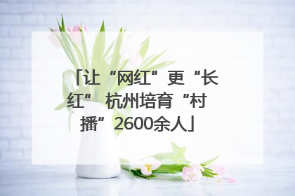 让“网红”更“长红” 杭州培育“村播”2600余人
