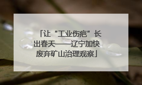让“工业伤疤”长出春天——辽宁加快废弃矿山治理观察