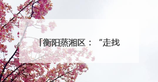 衡阳蒸湘区：“走找想促”调研活动 助力外经贸事业行稳致远