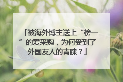 被海外博主送上“榜一”的爱采购，为何受到了外国友人的青睐？