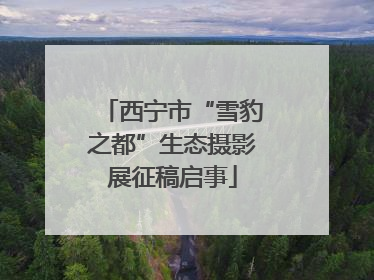 西宁市“雪豹之都”生态摄影展征稿启事