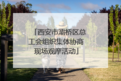 西安市灞桥区总工会组织集体协商现场观摩活动