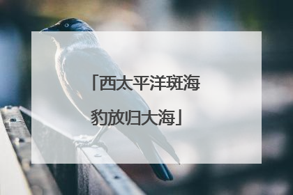 西太平洋斑海豹放归大海