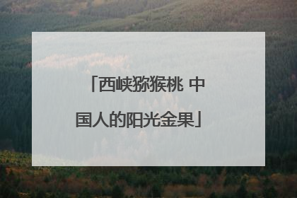 西峡猕猴桃 中国人的阳光金果