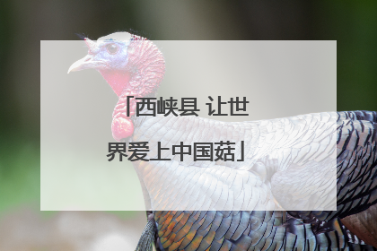西峡县 让世界爱上中国菇