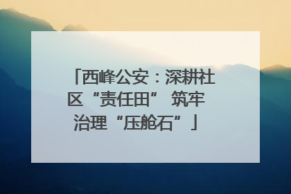 西峰公安：深耕社区“责任田” 筑牢治理“压舱石”