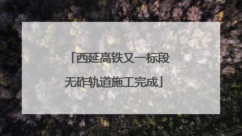 西延高铁又一标段无砟轨道施工完成