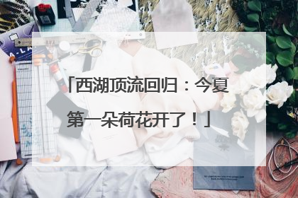 西湖顶流回归：今夏第一朵荷花开了！