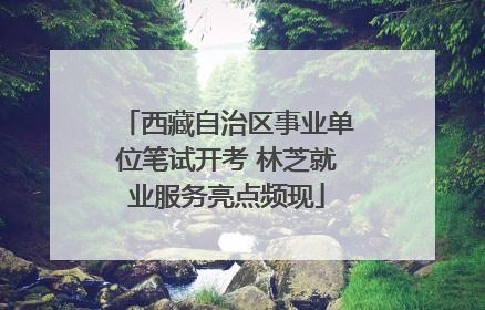 西藏自治区事业单位笔试开考 林芝就业服务亮点频现