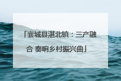 襄城县湛北镇：三产融合 奏响乡村振兴曲