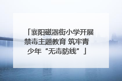 襄阳磁器街小学开展禁毒主题教育 筑牢青少年“无毒防线”