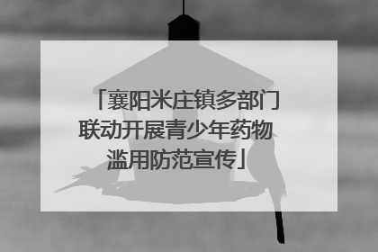 襄阳米庄镇多部门联动开展青少年药物滥用防范宣传