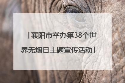 襄阳市举办第38个世界无烟日主题宣传活动
