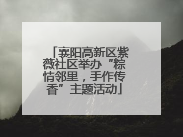 襄阳高新区紫薇社区举办“粽情邻里，手作传香”主题活动