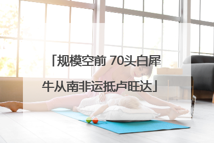 规模空前 70头白犀牛从南非运抵卢旺达