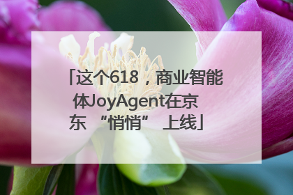 这个618，商业智能体JoyAgent在京东 “悄悄” 上线
