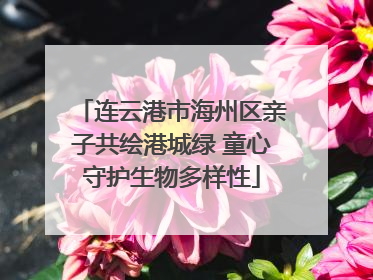 连云港市海州区亲子共绘港城绿 童心守护生物多样性