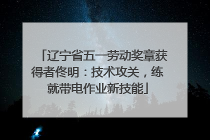 辽宁省五一劳动奖章获得者佟明：技术攻关，练就带电作业新技能