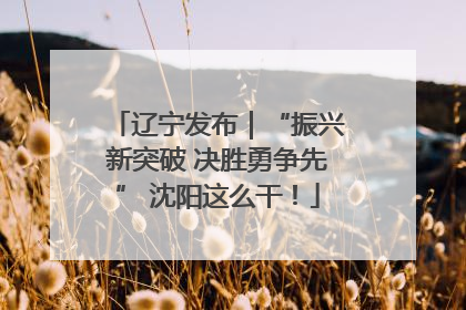 辽宁发布｜“振兴新突破 决胜勇争先” 沈阳这么干！