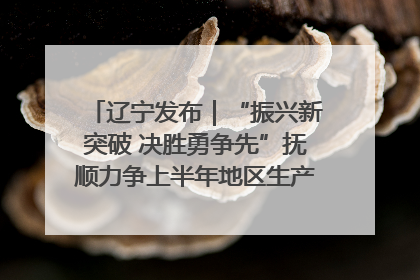 辽宁发布｜“振兴新突破 决胜勇争先”抚顺力争上半年地区生产总值增长7%左右