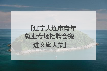 辽宁大连市青年就业专场招聘会搬进文旅大集
