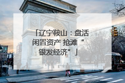 辽宁鞍山：盘活闲置资产 抢滩“银发经济”