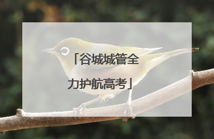 谷城城管全力护航高考