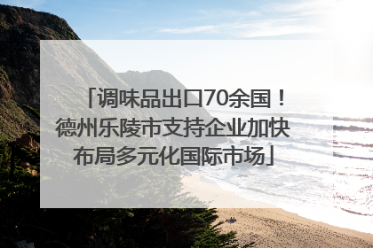 调味品出口70余国！德州乐陵市支持企业加快布局多元化国际市场