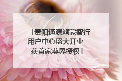 贵阳通源鸿蒙智行用户中心盛大开业 获首家尊界授权