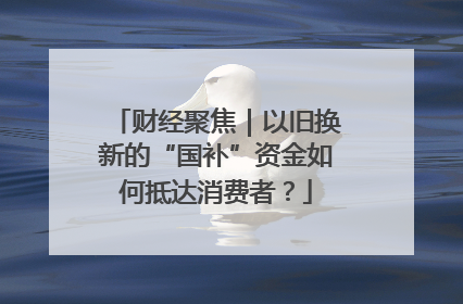 财经聚焦｜以旧换新的“国补”资金如何抵达消费者？