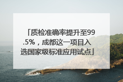 质检准确率提升至99.5%,成都这一项目入选国家级标准应用试点