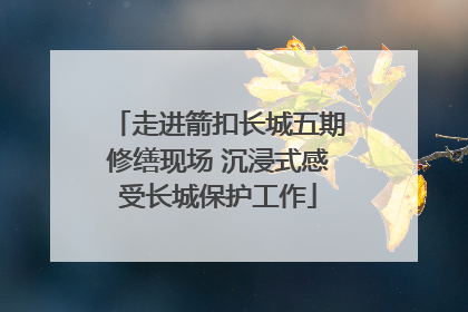 走进箭扣长城五期修缮现场 沉浸式感受长城保护工作