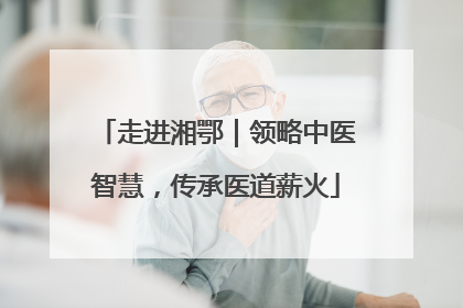 走进湘鄂｜领略中医智慧，传承医道薪火