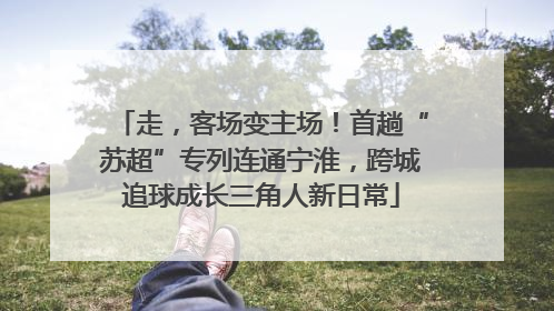 走，客场变主场！首趟“苏超”专列连通宁淮，跨城追球成长三角人新日常