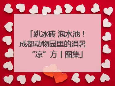 趴冰砖 泡水池！成都动物园里的消暑“凉”方丨图集