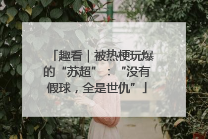 趣看｜被热梗玩爆的“苏超”：“没有假球，全是世仇”