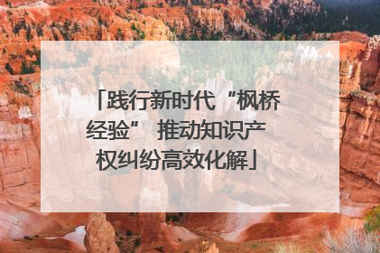 践行新时代“枫桥经验” 推动知识产权纠纷高效化解