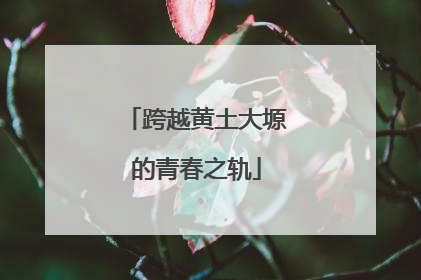 跨越黄土大塬的青春之轨